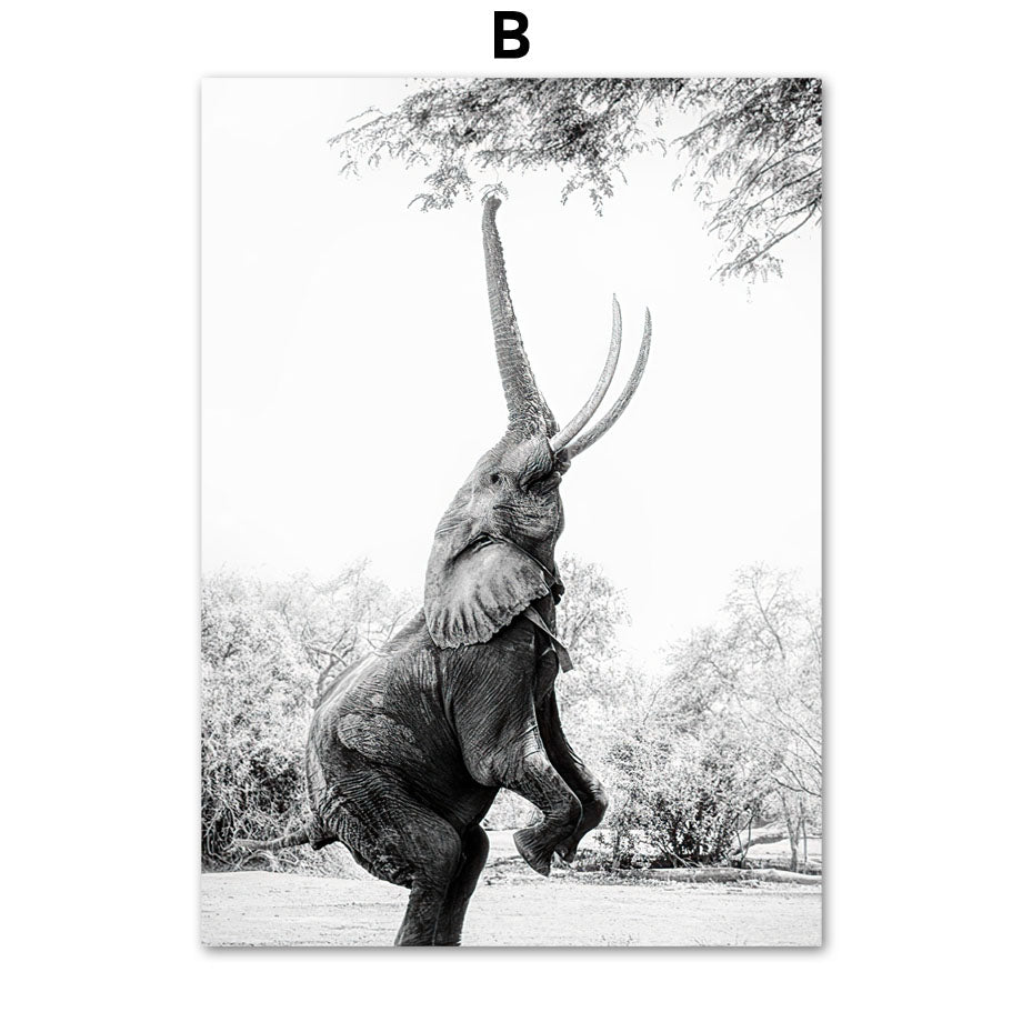 Giraffe Elephant Lion Pineapple Palm Tree Wall Canvas Painting